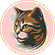 Tabby